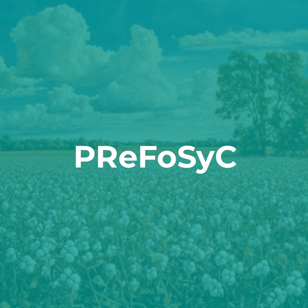 Atelier de présentation de PReFoSyC à la communauté universitaire et professionnelle Parakoise