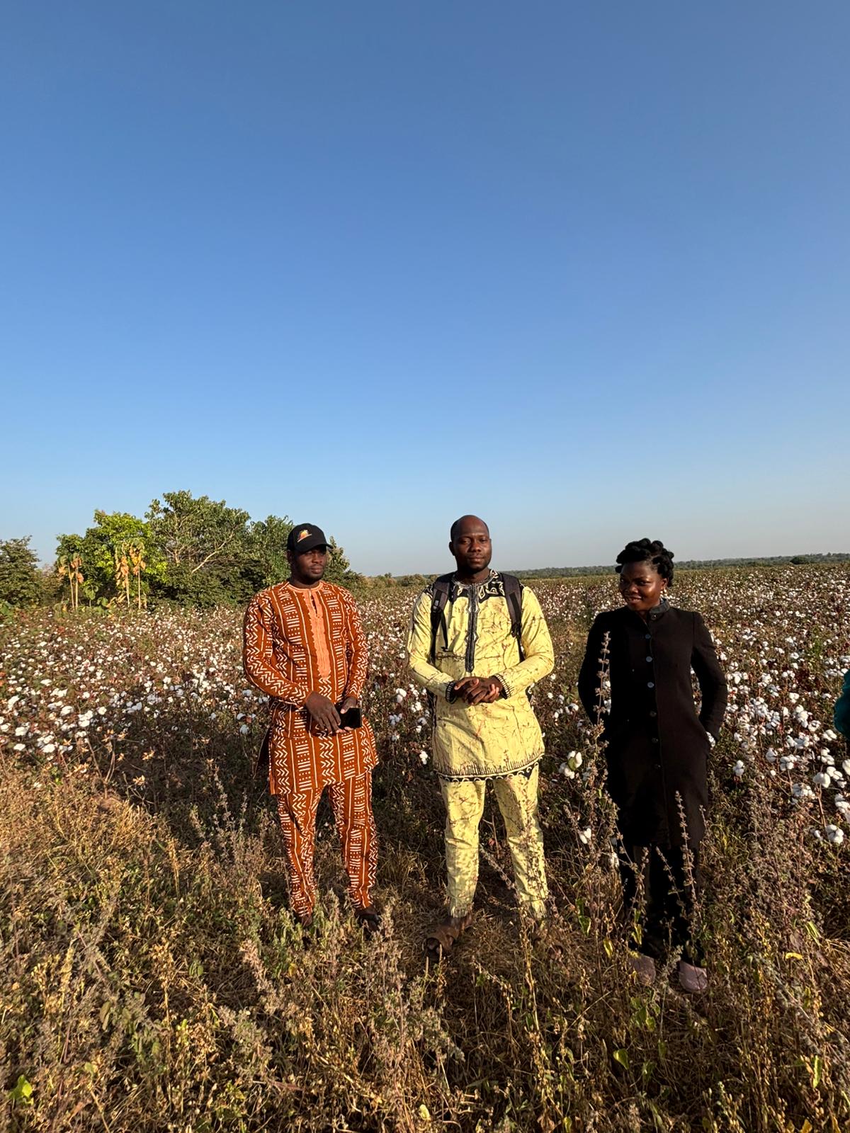 Offres pour doctorants