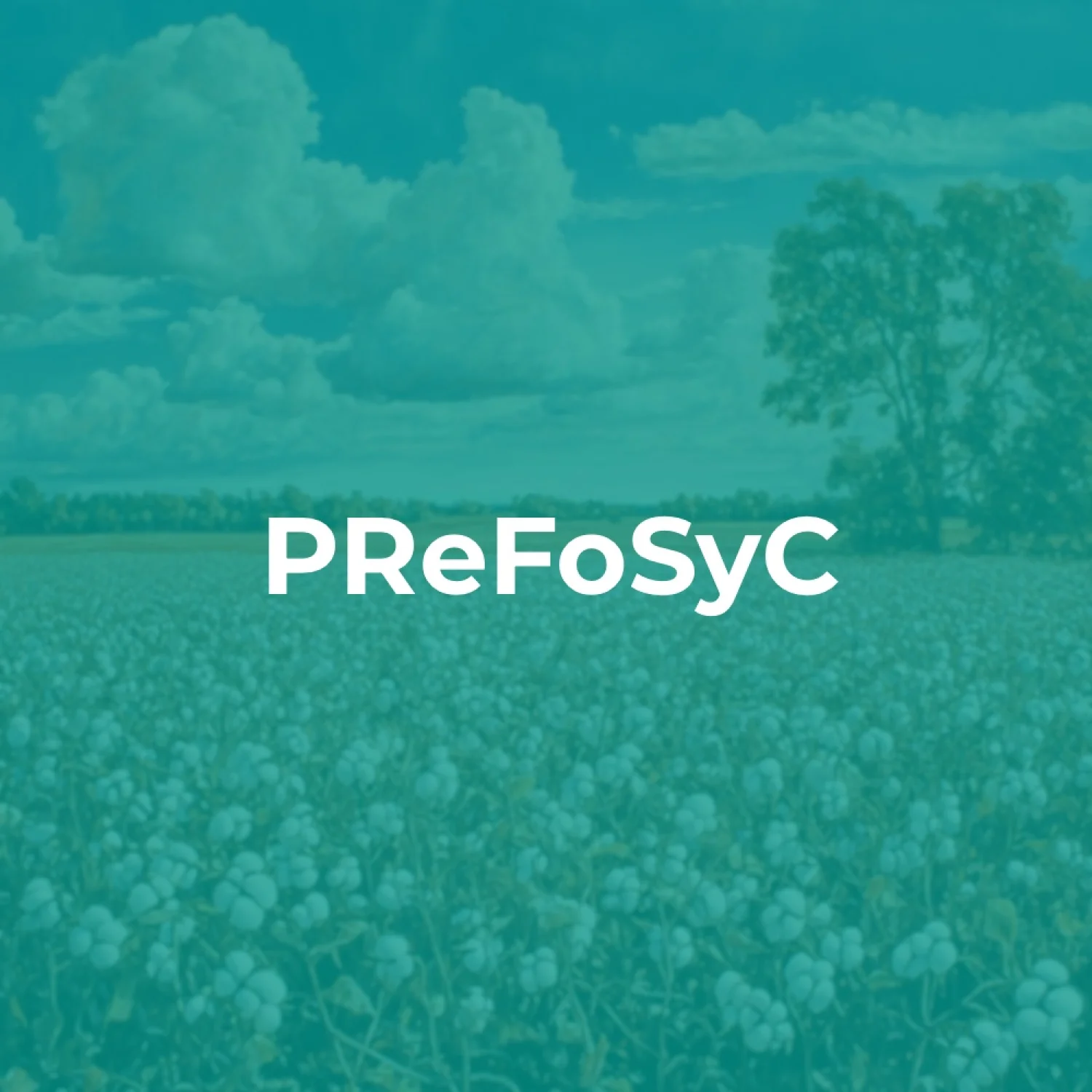 Recrutement des Responsables de PReFoSyC : Renforcement des Équipes à l’ISTOM et à l’UP