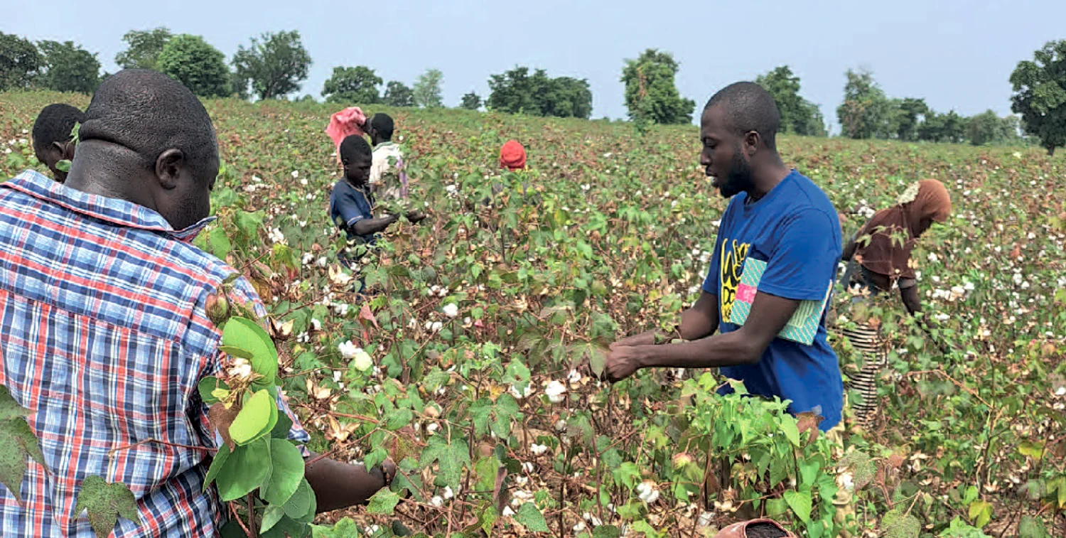 Un projet mené conjointement par l'Université de Parakou, l'ISTOM et le Cirad